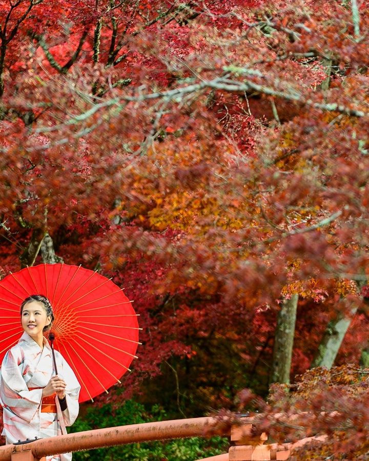 JAPONYA TURU REHBERİ 2026: TOKYO, KYOTO VE EŞSİZ KÜLTÜR DENEYİMİ