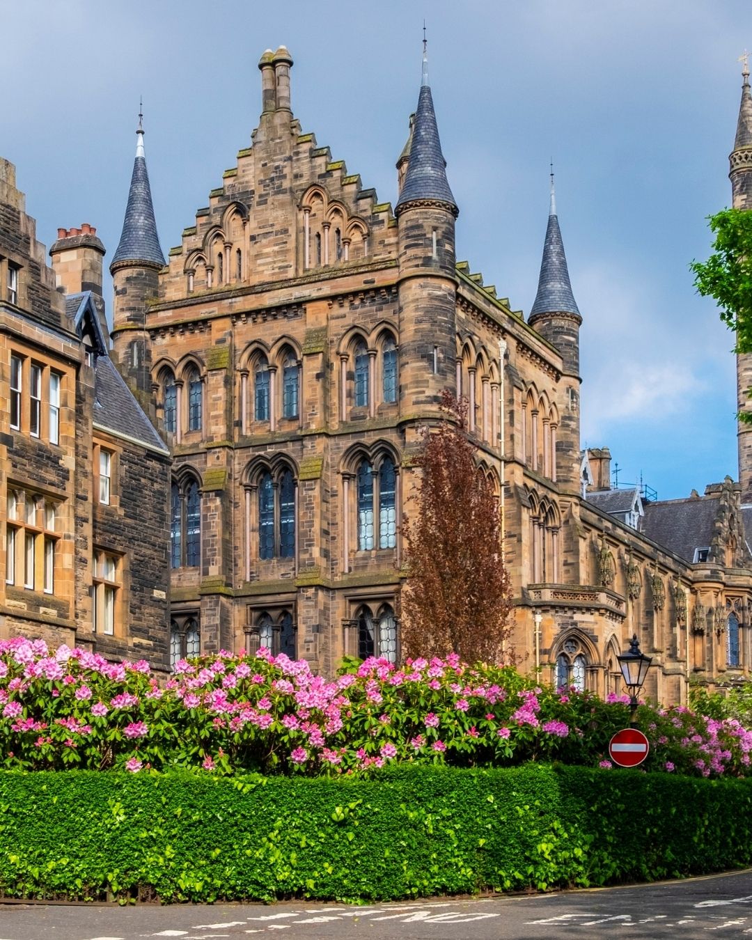 Genel Görünüm